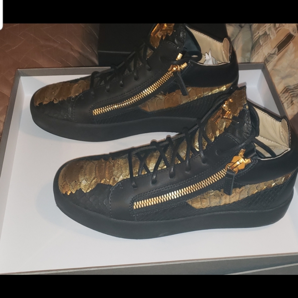 Giuseppe Zanotti